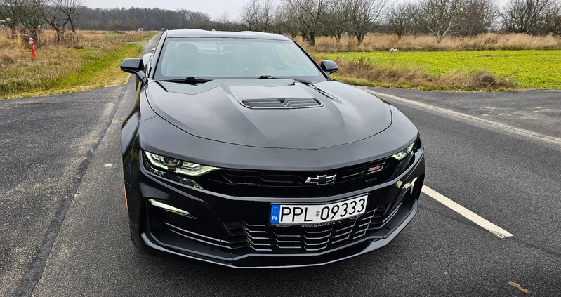 Chevrolet Camaro cena 194900 przebieg: 59500, rok produkcji 2020 z Pleszew małe 232